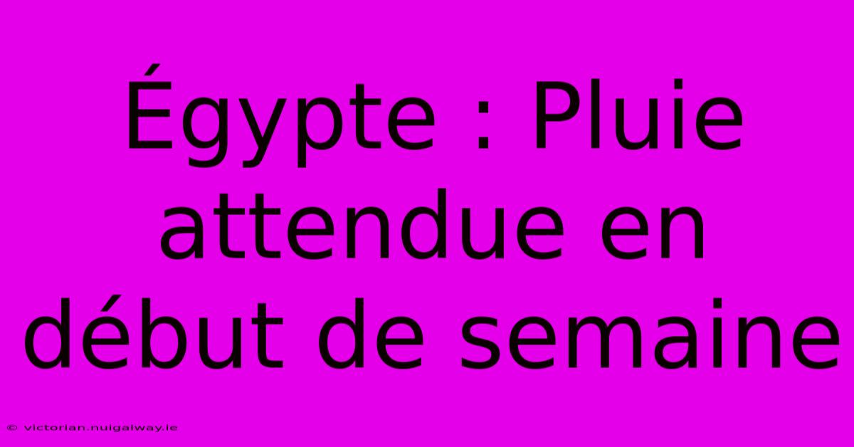 Égypte : Pluie Attendue En Début De Semaine