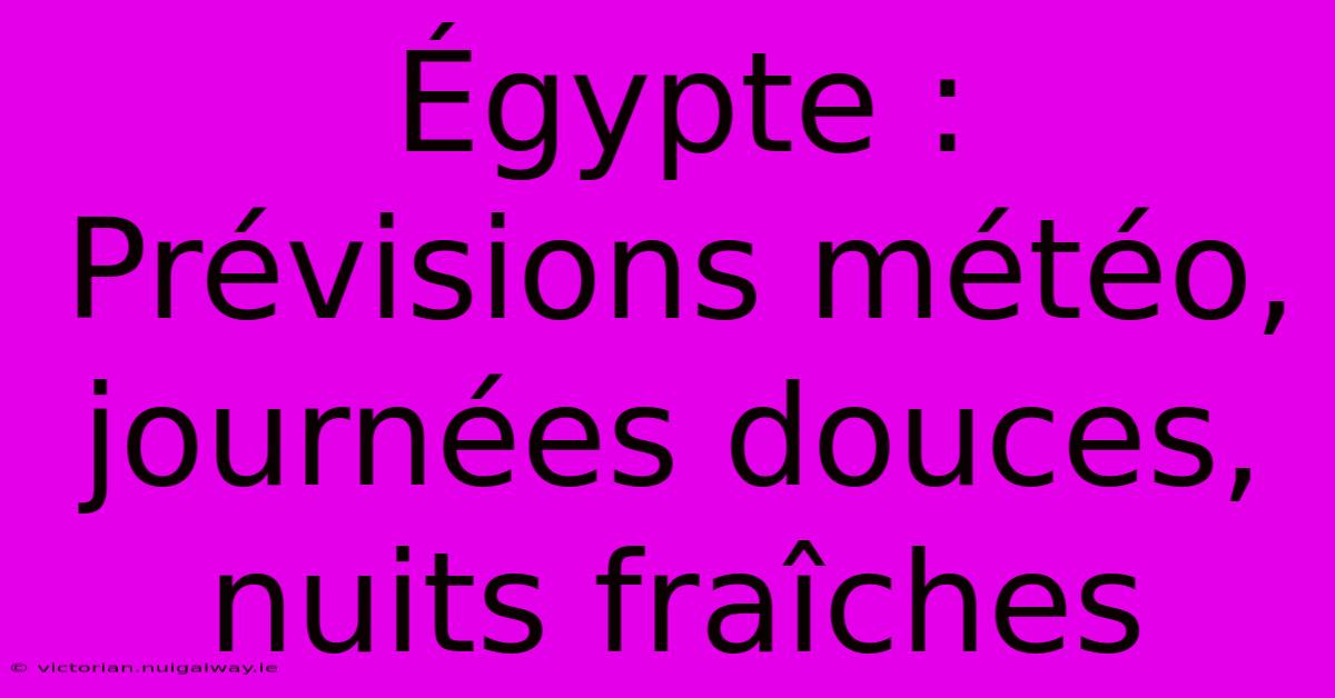 Égypte : Prévisions Météo, Journées Douces, Nuits Fraîches 