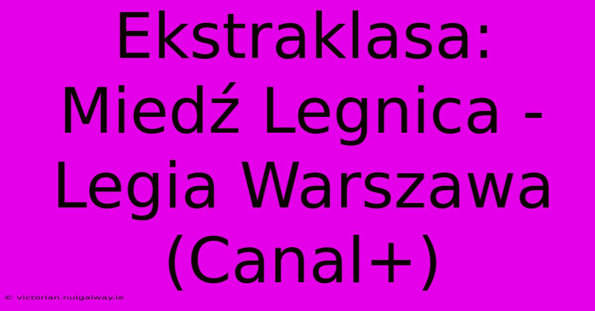 Ekstraklasa: Miedź Legnica - Legia Warszawa (Canal+) 