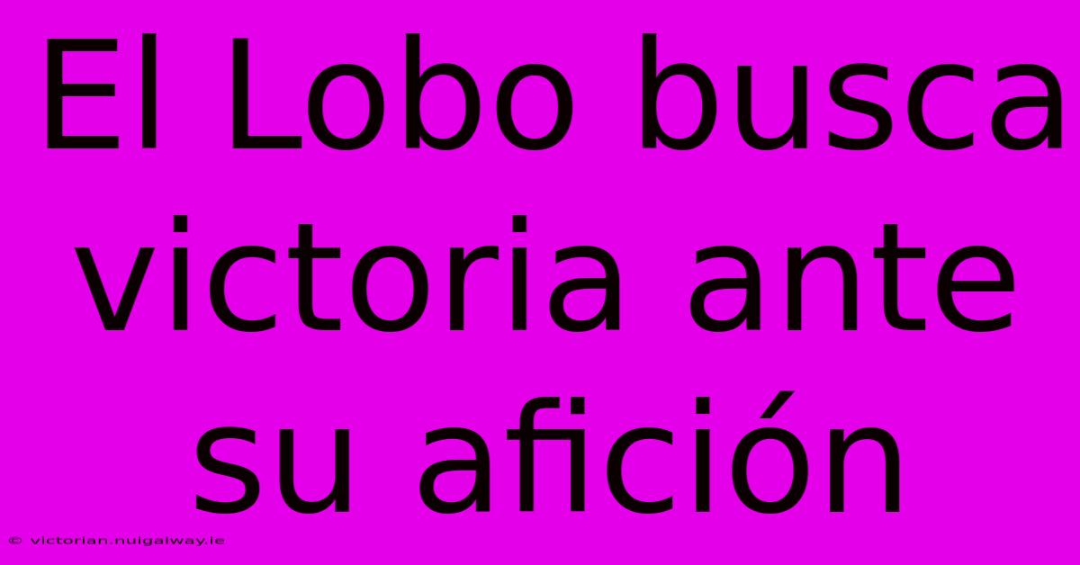 El Lobo Busca Victoria Ante Su Afición