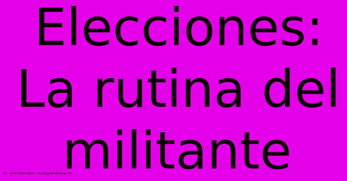 Elecciones: La Rutina Del Militante