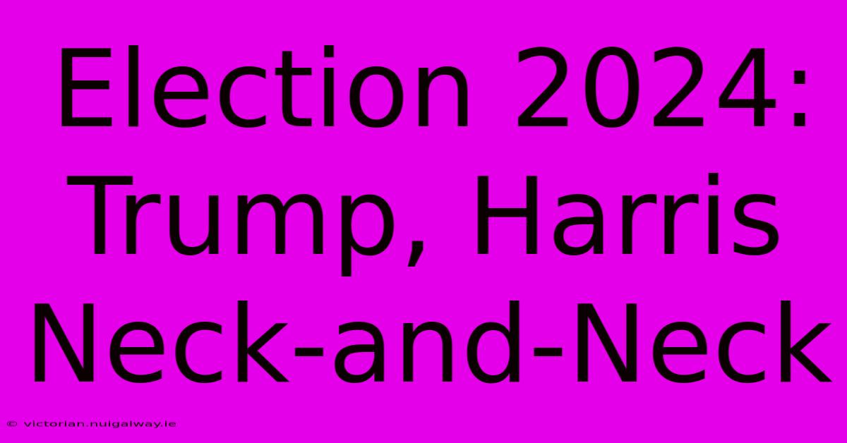 Election 2024: Trump, Harris Neck-and-Neck