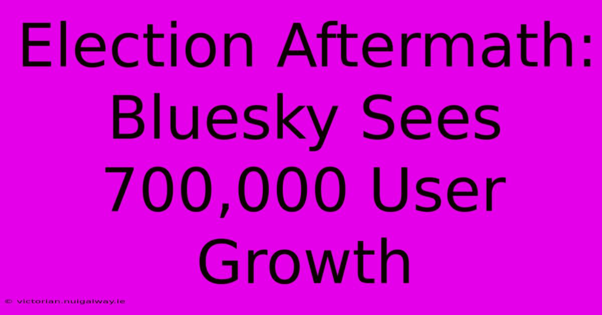 Election Aftermath: Bluesky Sees 700,000 User Growth