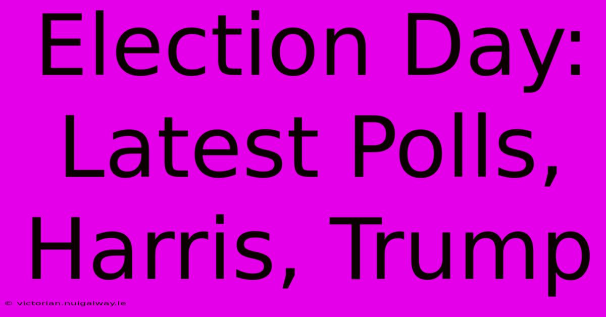 Election Day: Latest Polls, Harris, Trump