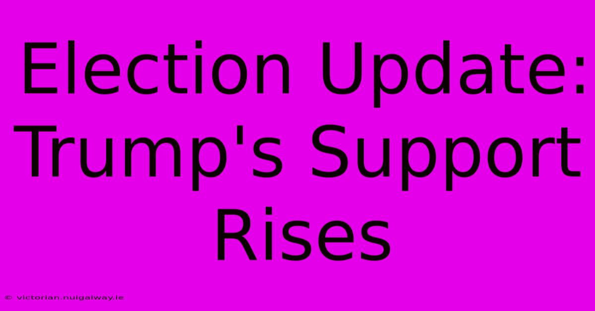 Election Update: Trump's Support Rises