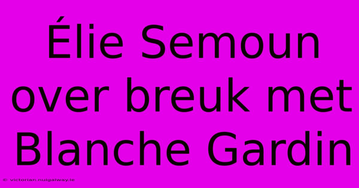 Élie Semoun Over Breuk Met Blanche Gardin 