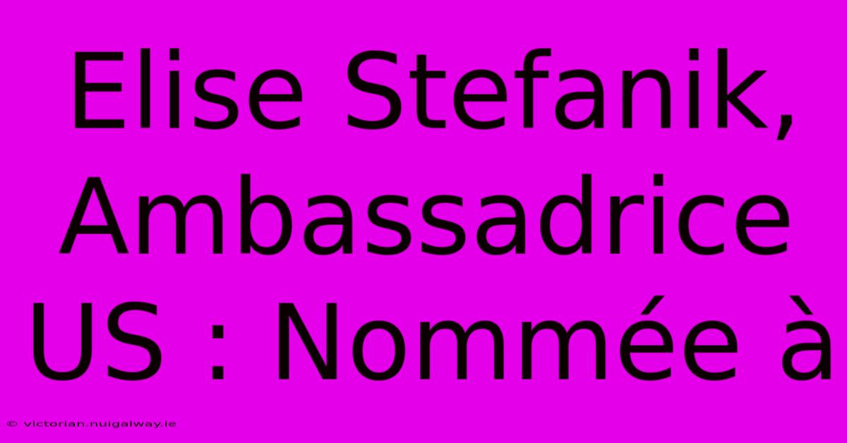 Elise Stefanik, Ambassadrice US : Nommée À