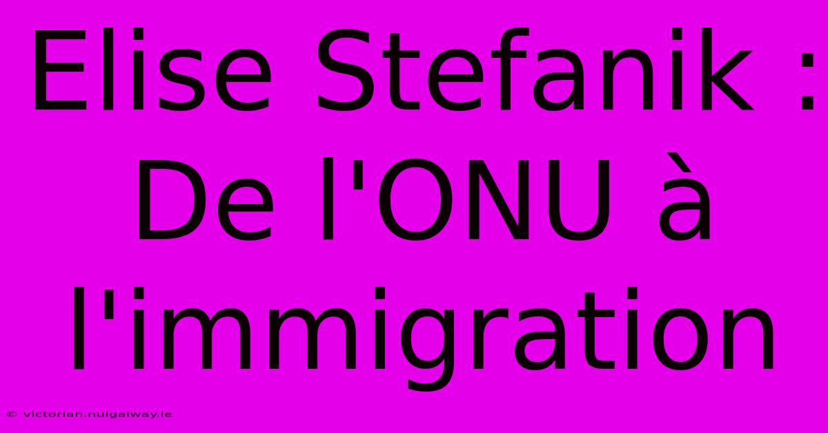 Elise Stefanik : De L'ONU À L'immigration