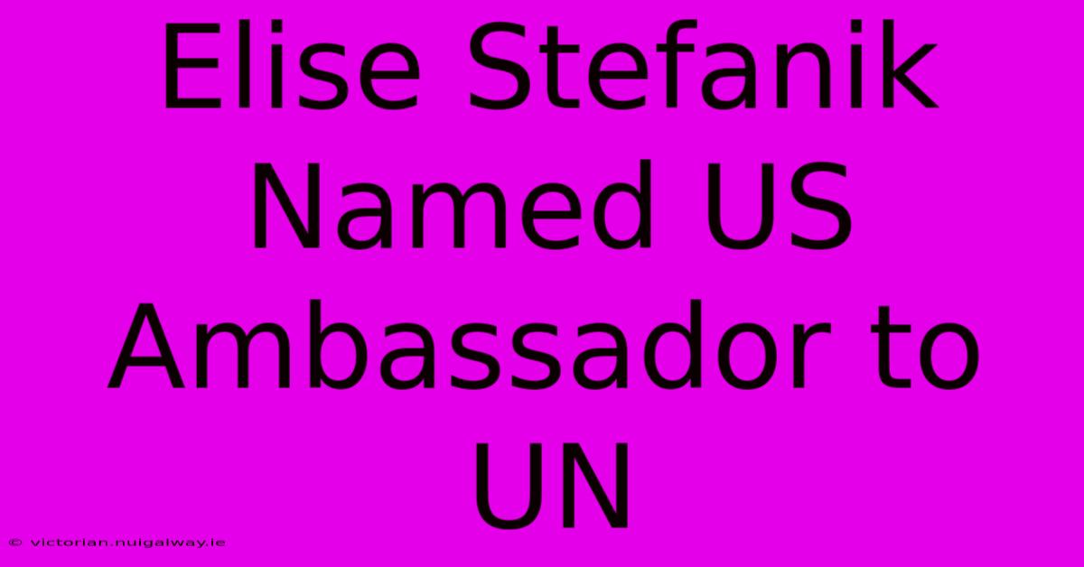 Elise Stefanik Named US Ambassador To UN