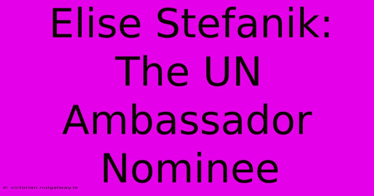 Elise Stefanik:  The UN Ambassador Nominee 