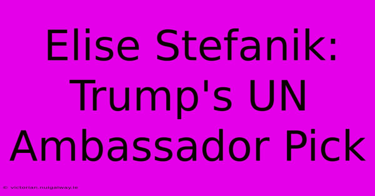 Elise Stefanik: Trump's UN Ambassador Pick