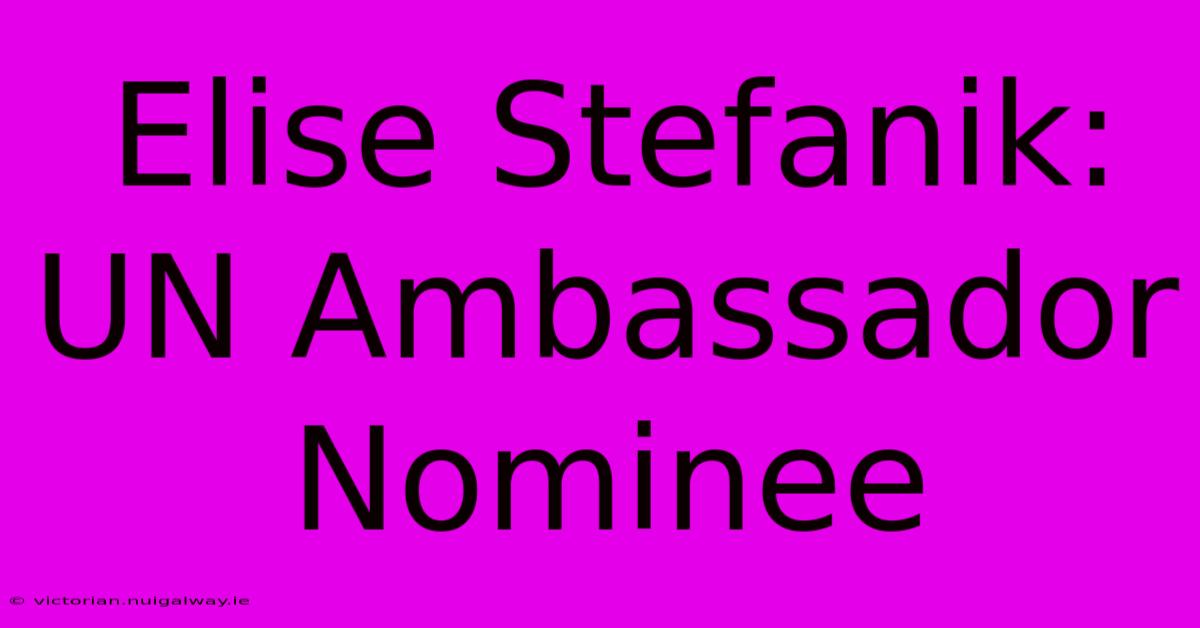 Elise Stefanik: UN Ambassador Nominee 