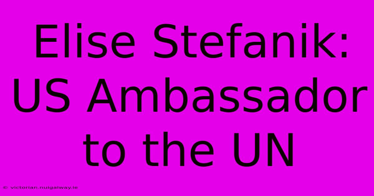 Elise Stefanik: US Ambassador To The UN 