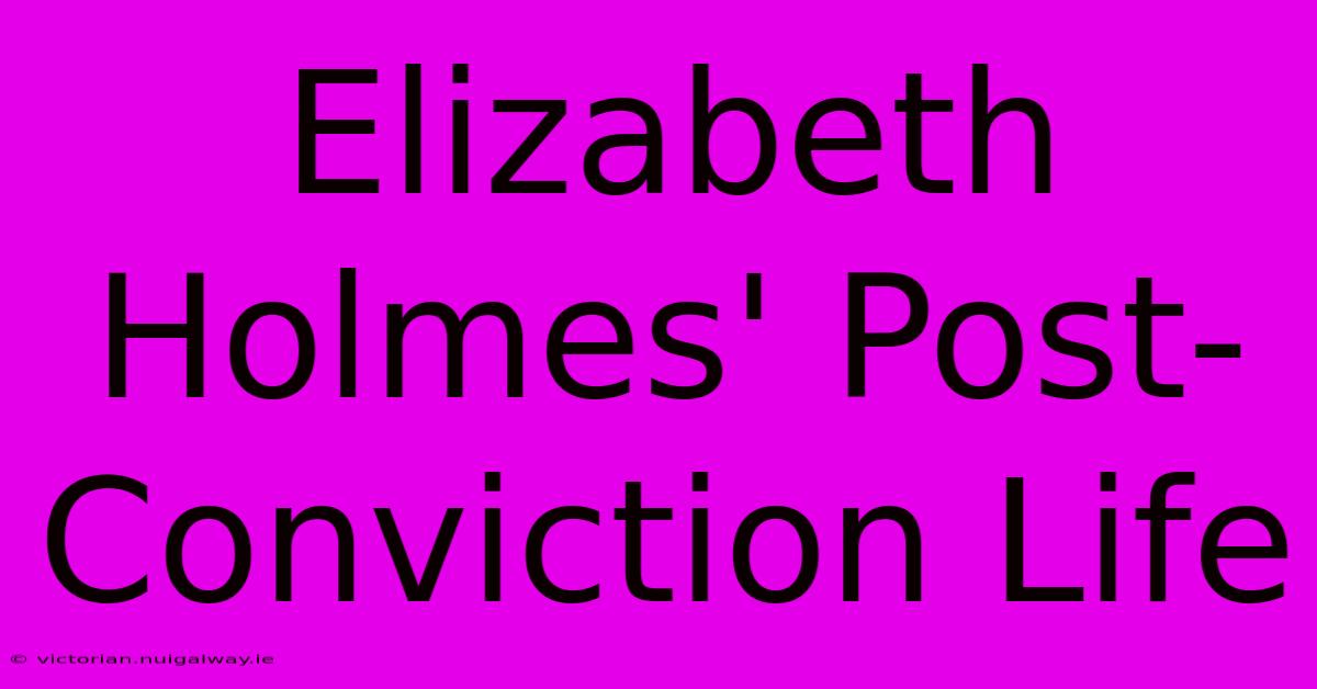 Elizabeth Holmes' Post-Conviction Life