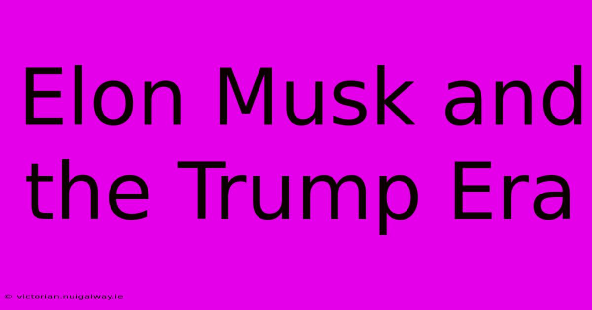 Elon Musk And The Trump Era