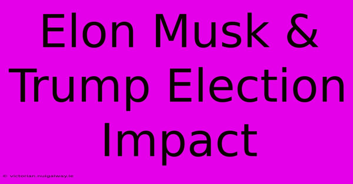 Elon Musk & Trump Election Impact