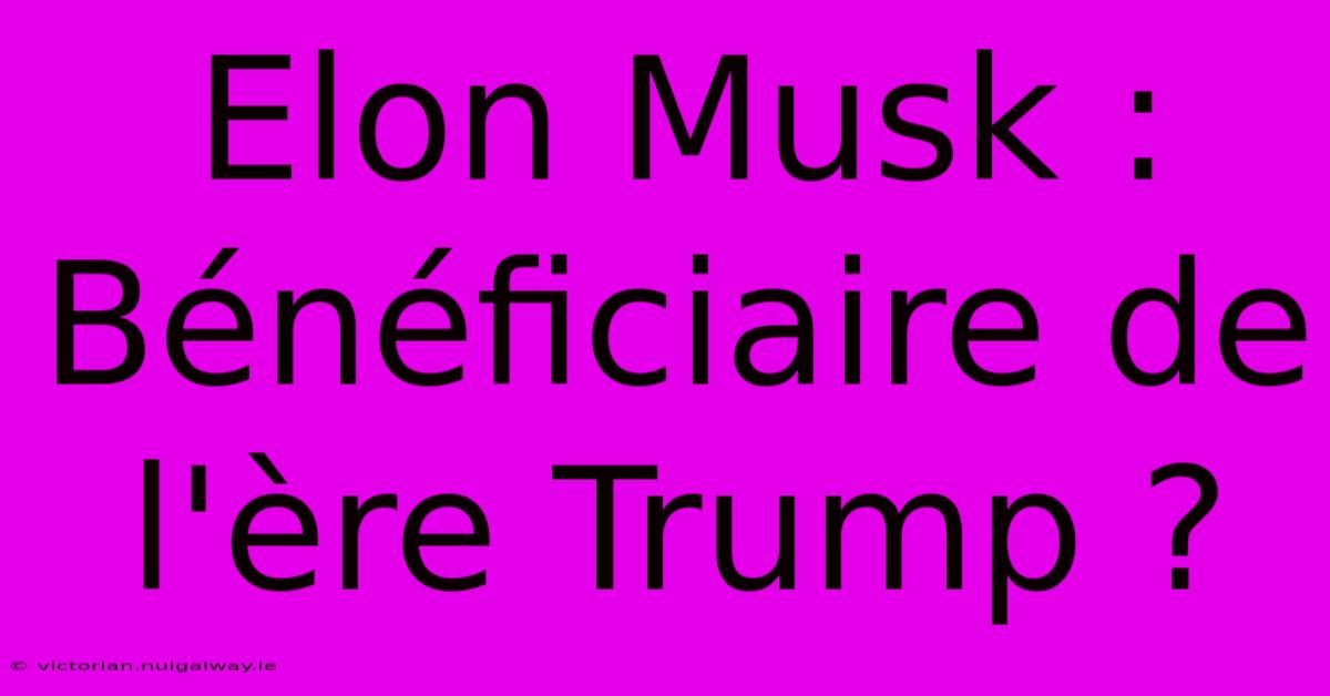 Elon Musk : Bénéficiaire De L'ère Trump ? 