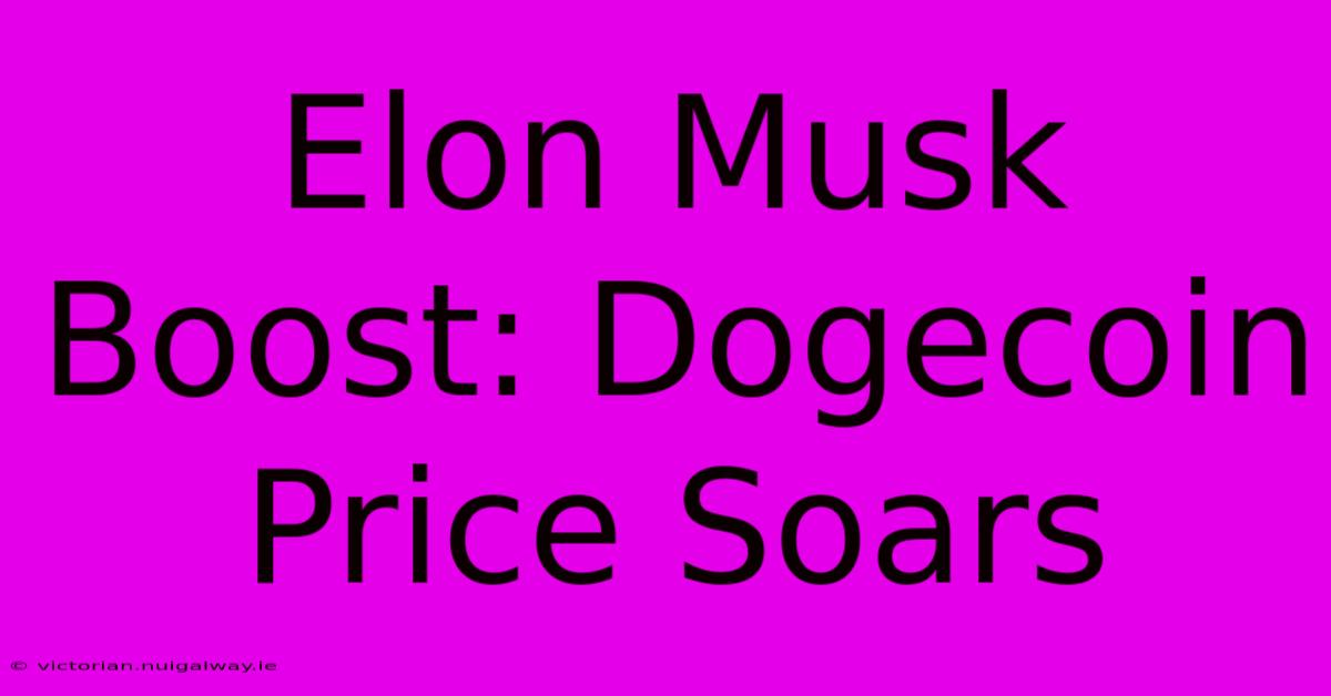 Elon Musk Boost: Dogecoin Price Soars 