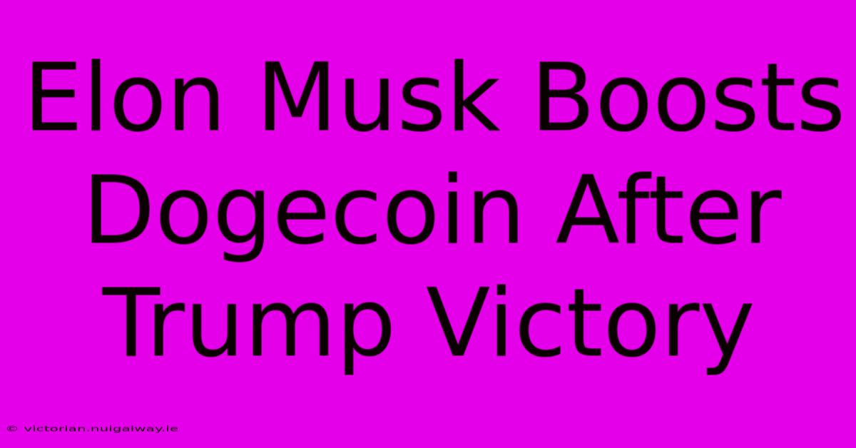 Elon Musk Boosts Dogecoin After Trump Victory