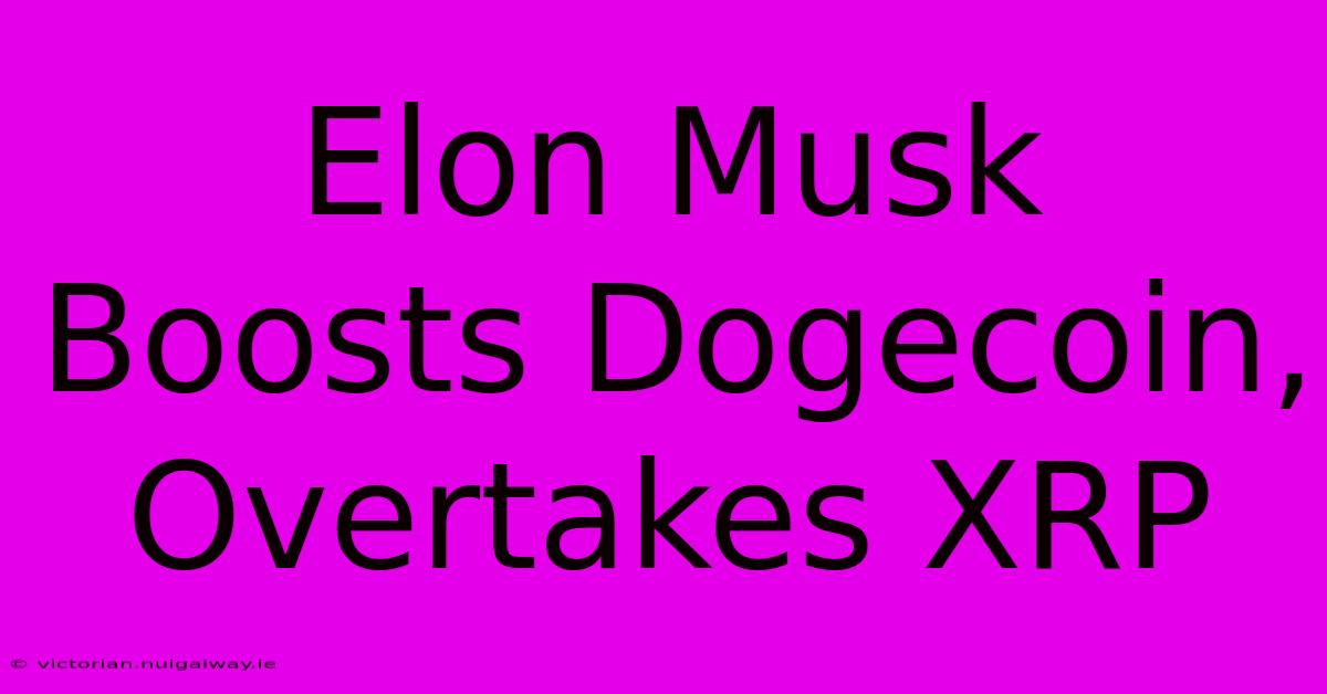 Elon Musk Boosts Dogecoin, Overtakes XRP