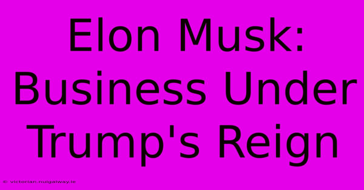 Elon Musk: Business Under Trump's Reign 