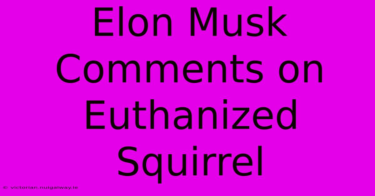 Elon Musk Comments On Euthanized Squirrel