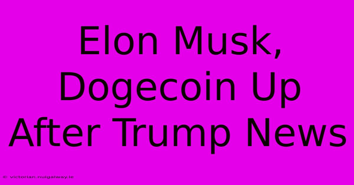 Elon Musk, Dogecoin Up After Trump News