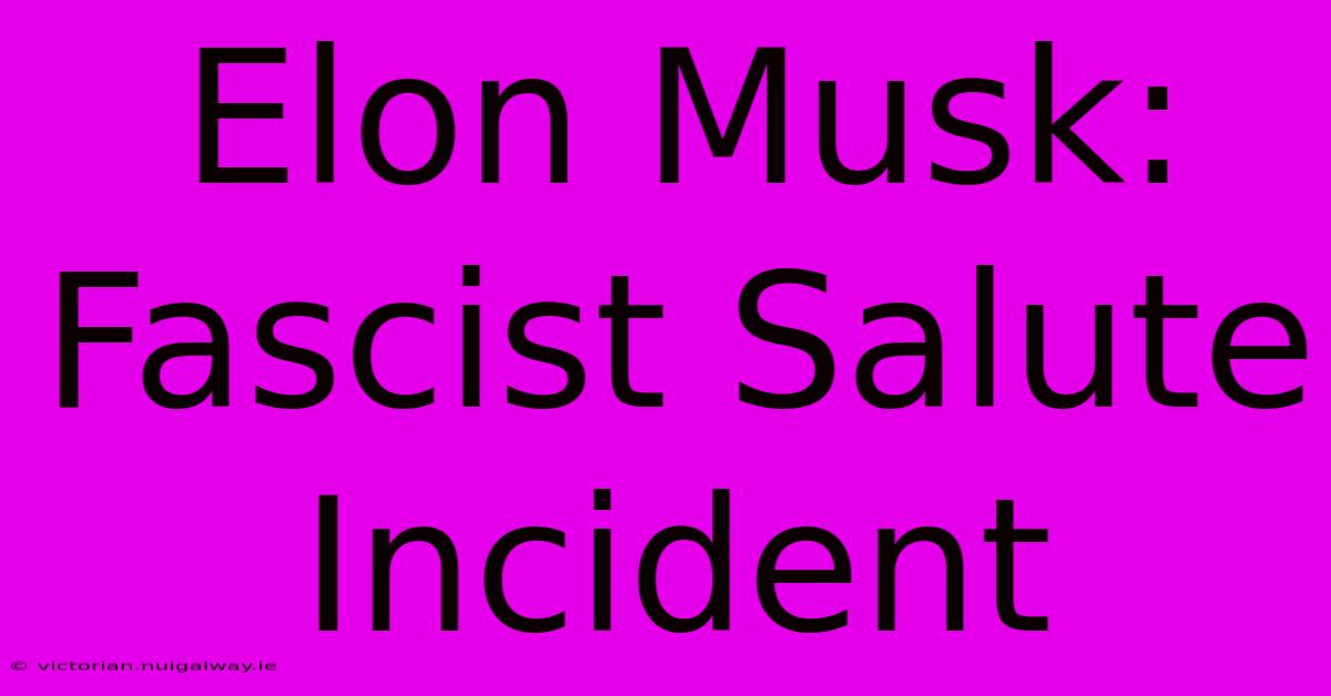 Elon Musk: Fascist Salute Incident