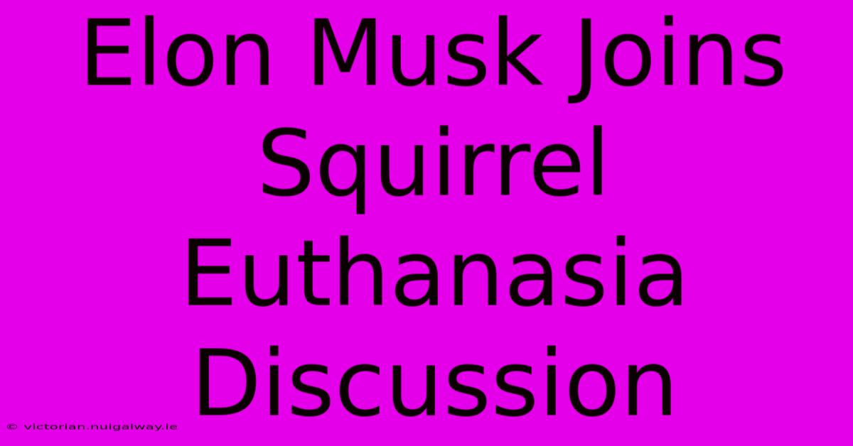 Elon Musk Joins Squirrel Euthanasia Discussion