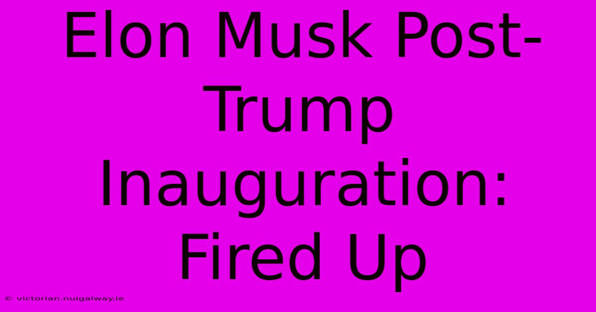 Elon Musk Post-Trump Inauguration: Fired Up