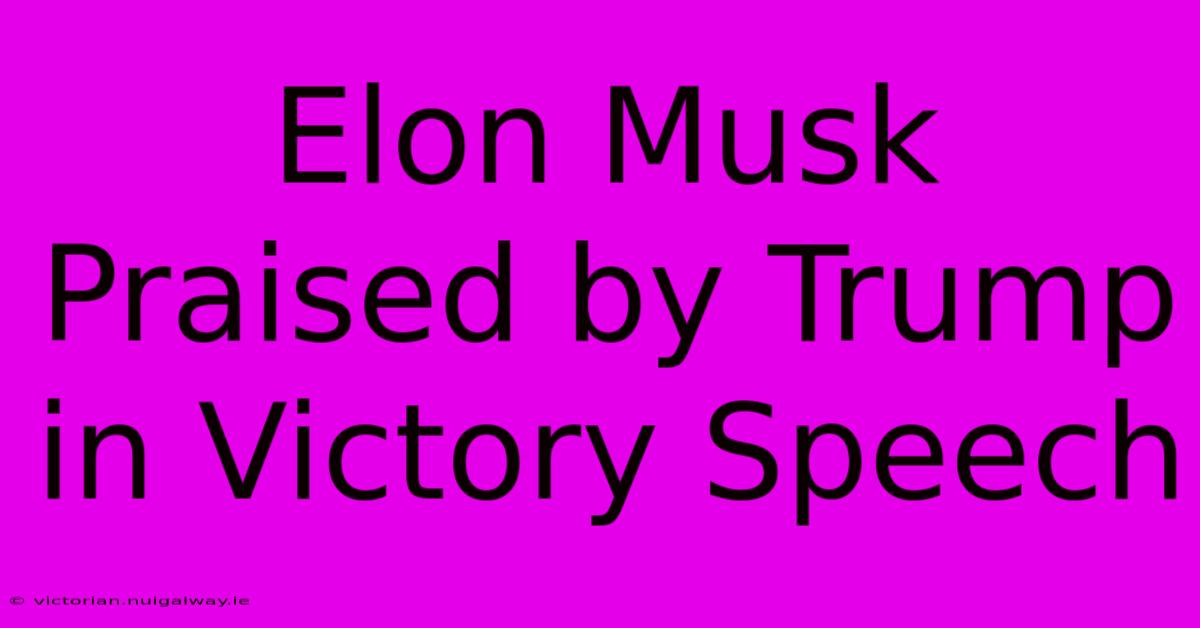 Elon Musk Praised By Trump In Victory Speech