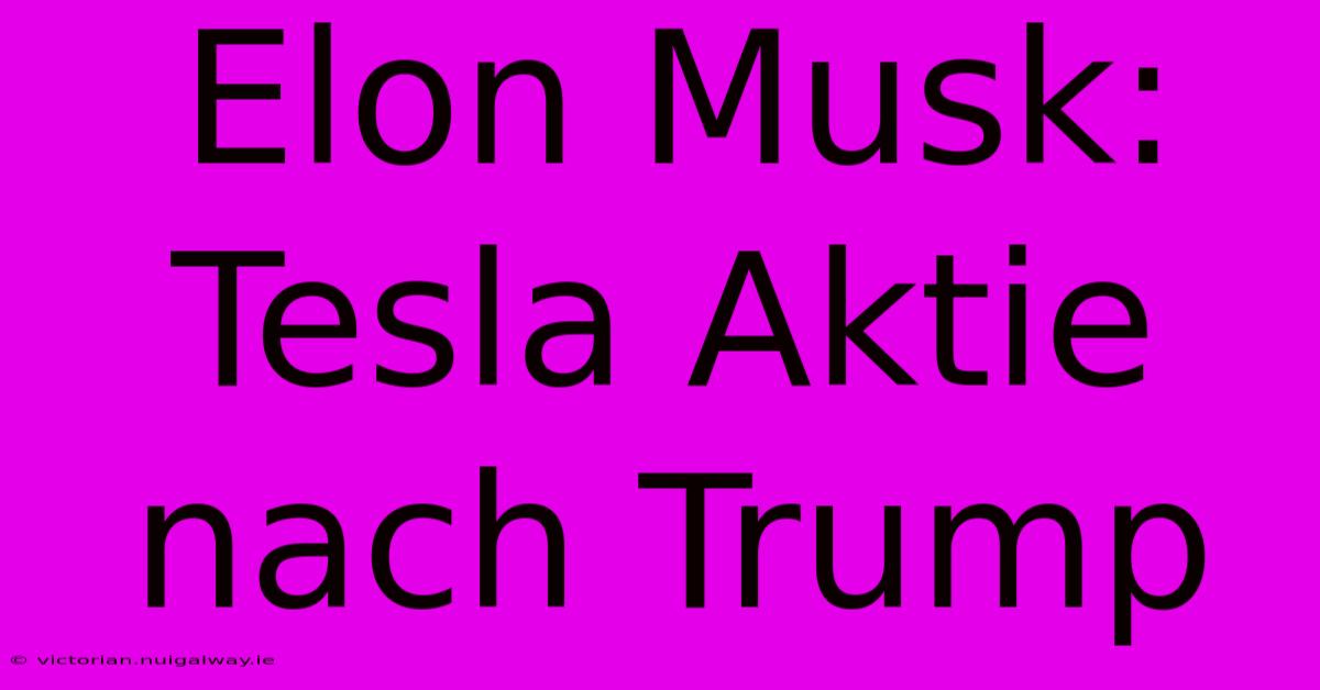 Elon Musk: Tesla Aktie Nach Trump