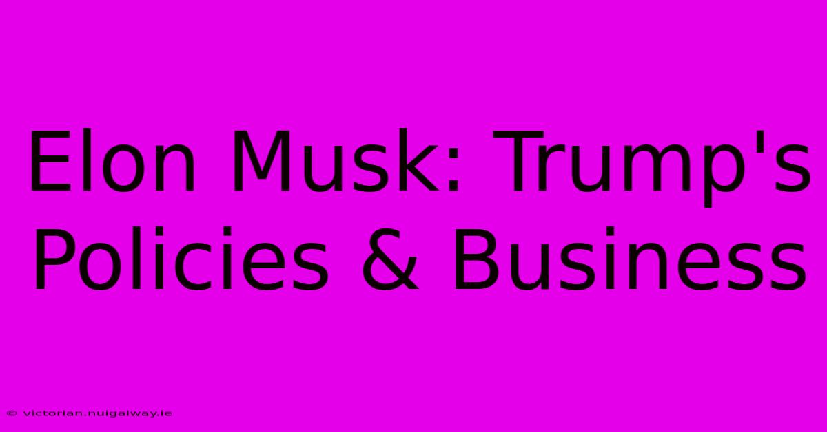 Elon Musk: Trump's Policies & Business