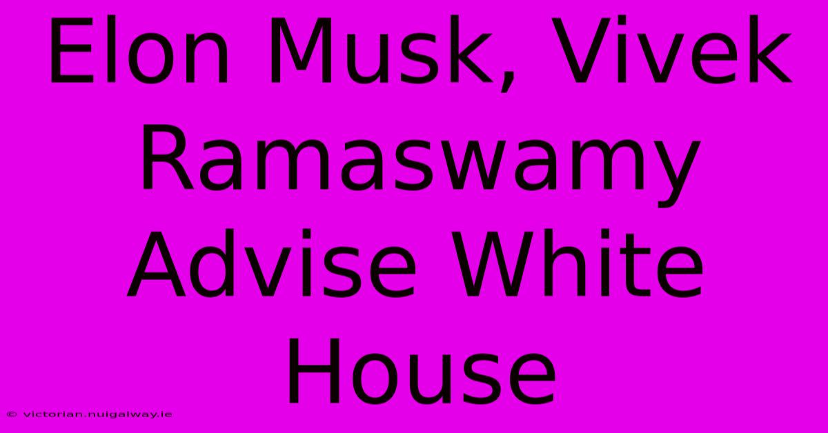 Elon Musk, Vivek Ramaswamy Advise White House