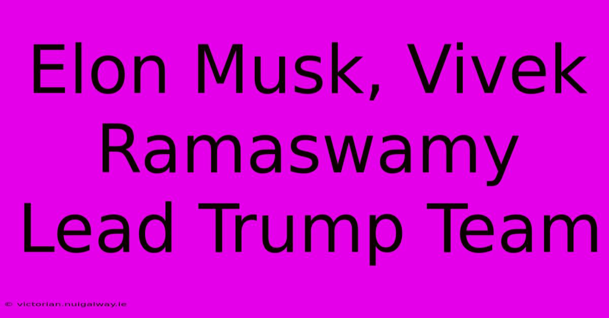 Elon Musk, Vivek Ramaswamy Lead Trump Team