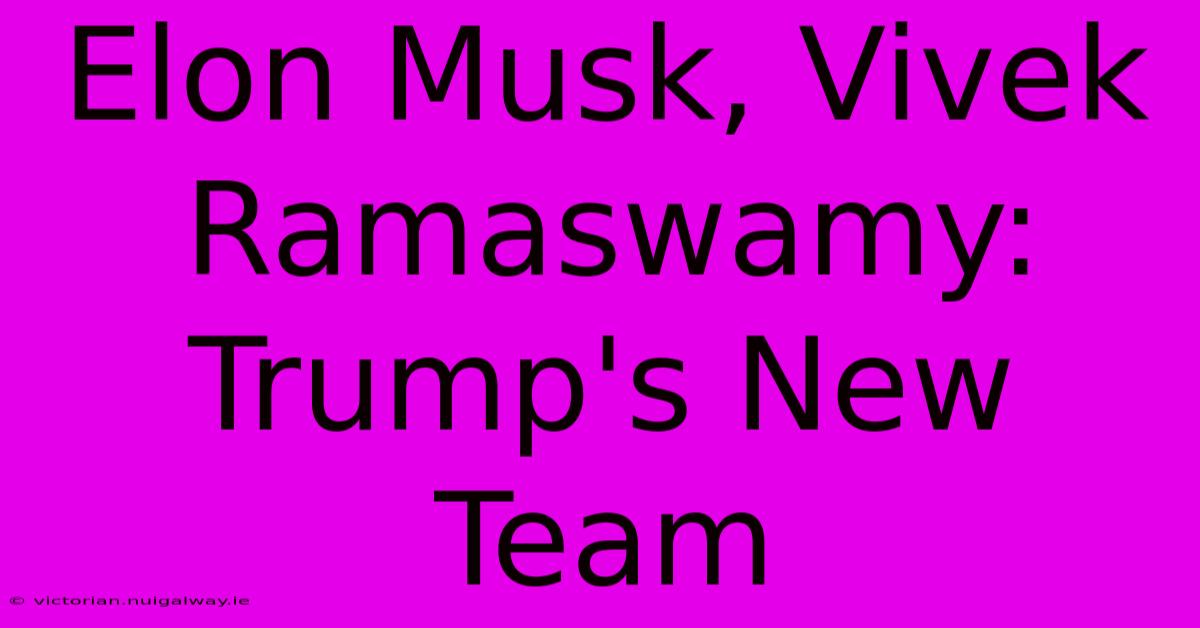 Elon Musk, Vivek Ramaswamy: Trump's New Team