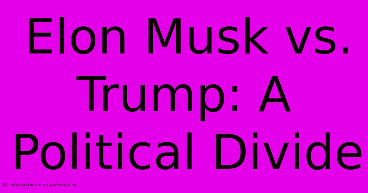 Elon Musk Vs. Trump: A Political Divide