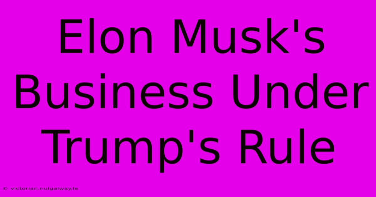 Elon Musk's Business Under Trump's Rule 