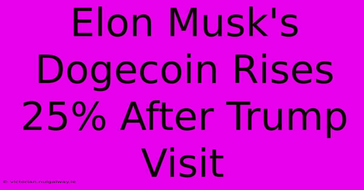 Elon Musk's Dogecoin Rises 25% After Trump Visit