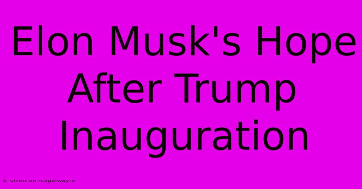 Elon Musk's Hope After Trump Inauguration