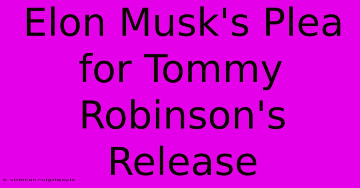 Elon Musk's Plea For Tommy Robinson's Release