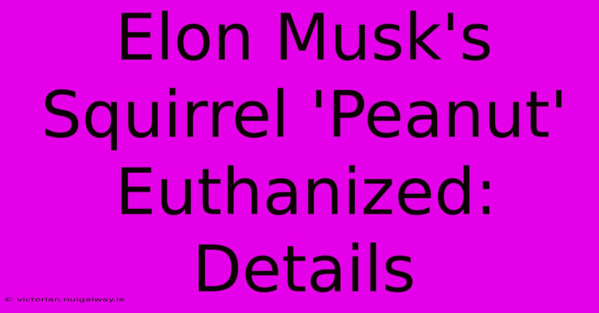 Elon Musk's Squirrel 'Peanut' Euthanized: Details 