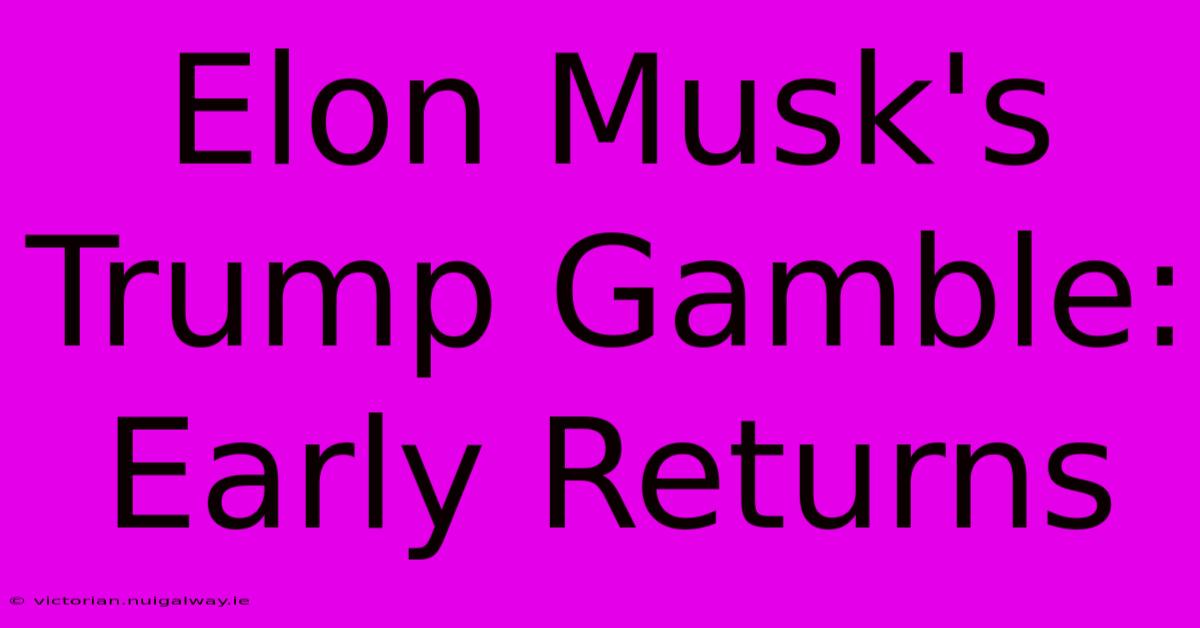 Elon Musk's Trump Gamble: Early Returns