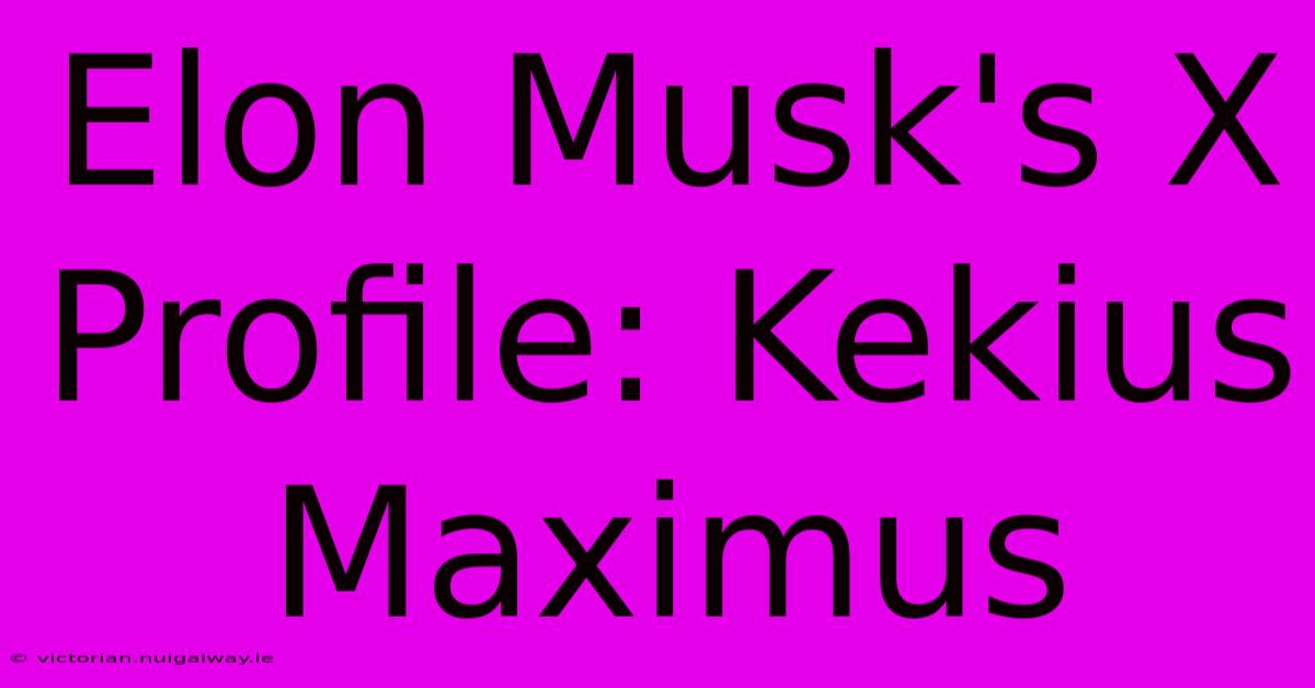 Elon Musk's X Profile: Kekius Maximus