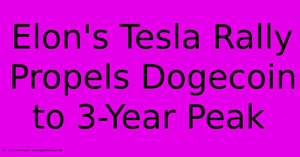 Elon's Tesla Rally Propels Dogecoin To 3-Year Peak