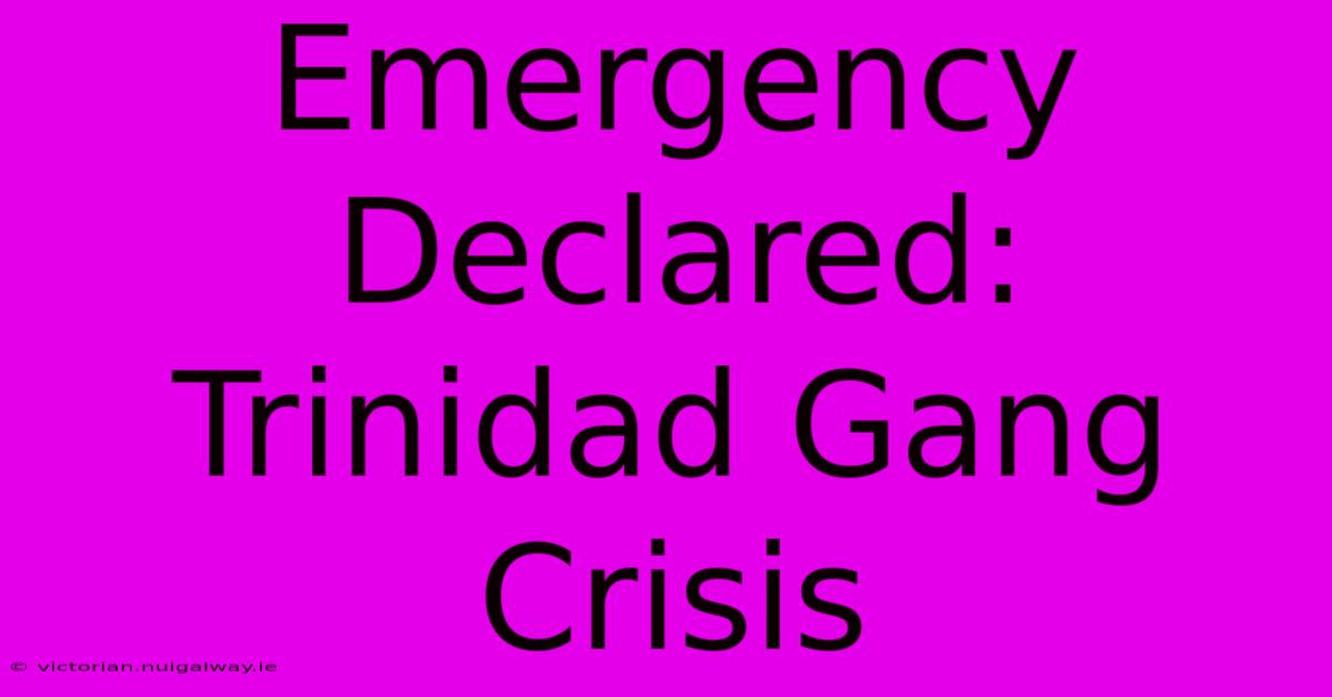 Emergency Declared: Trinidad Gang Crisis