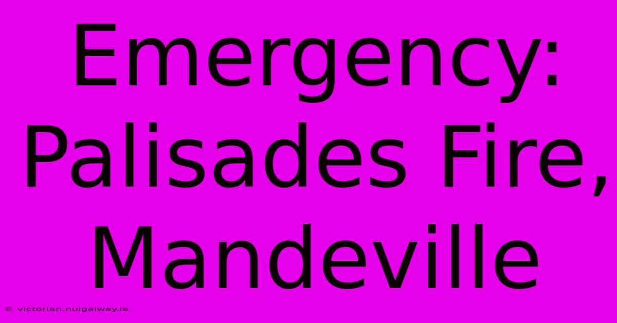 Emergency: Palisades Fire, Mandeville