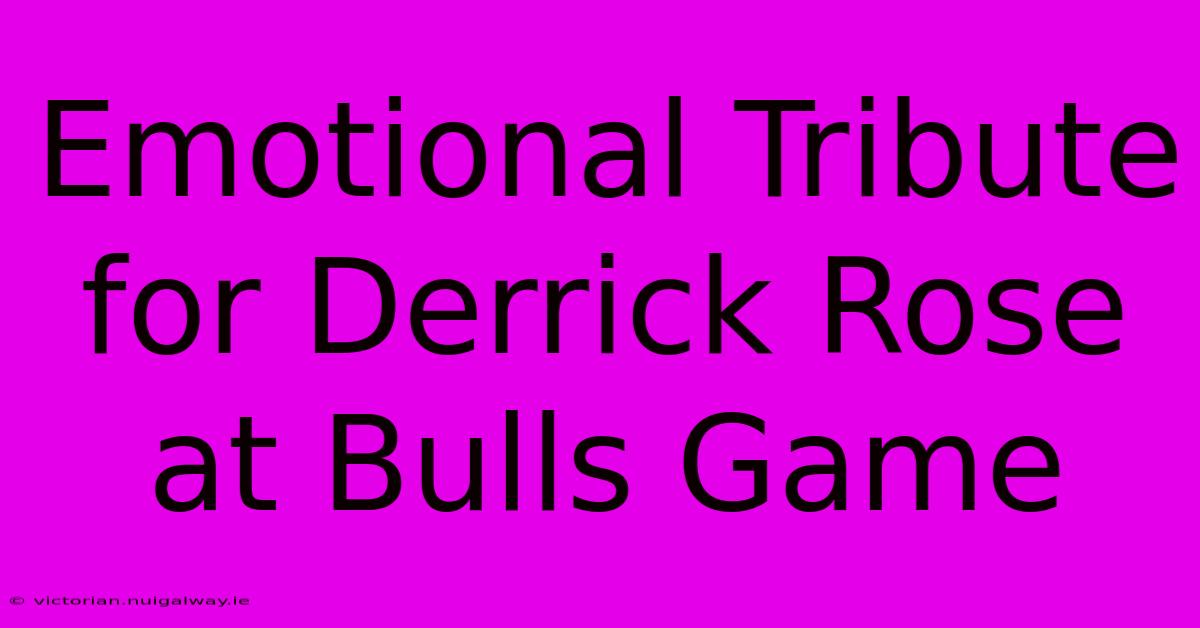 Emotional Tribute For Derrick Rose At Bulls Game