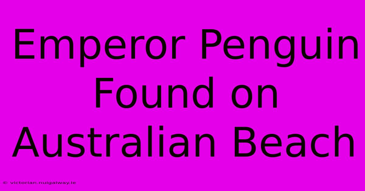 Emperor Penguin Found On Australian Beach 