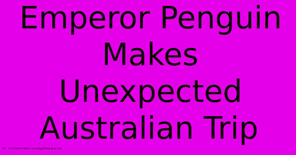 Emperor Penguin Makes Unexpected Australian Trip 